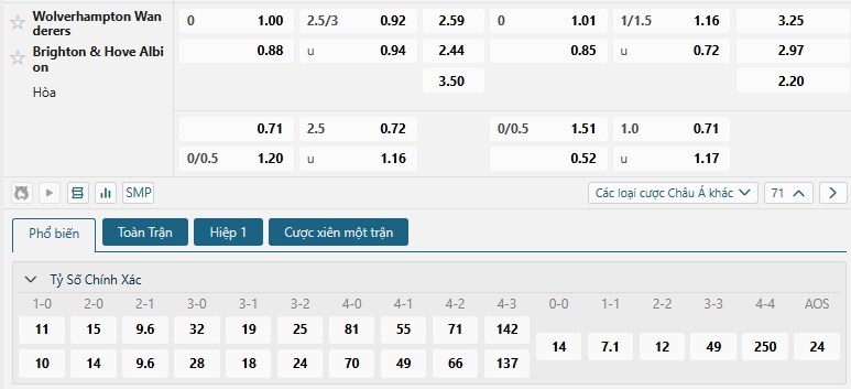 Tip bóng đá Wolverhampton Wanderers vs Brighton & Hove Albion