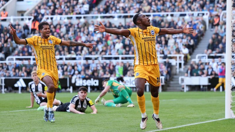 Brighton & Hove Albion vs Newcastle United